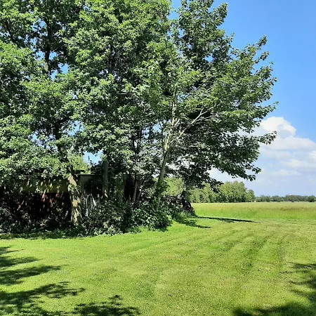 Muh - Ostfriesland Naehe Nordsee *