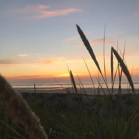 Muh - Ostfriesland Naehe Nordsee *