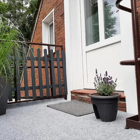 Muh - Ostfriesland Naehe Nordsee Rechtsupweg