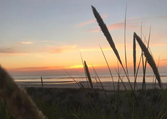 Muh - Ostfriesland Naehe Nordsee *